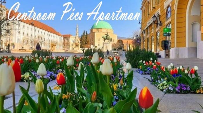 Centroom Pecs Apartman Екстериор снимка